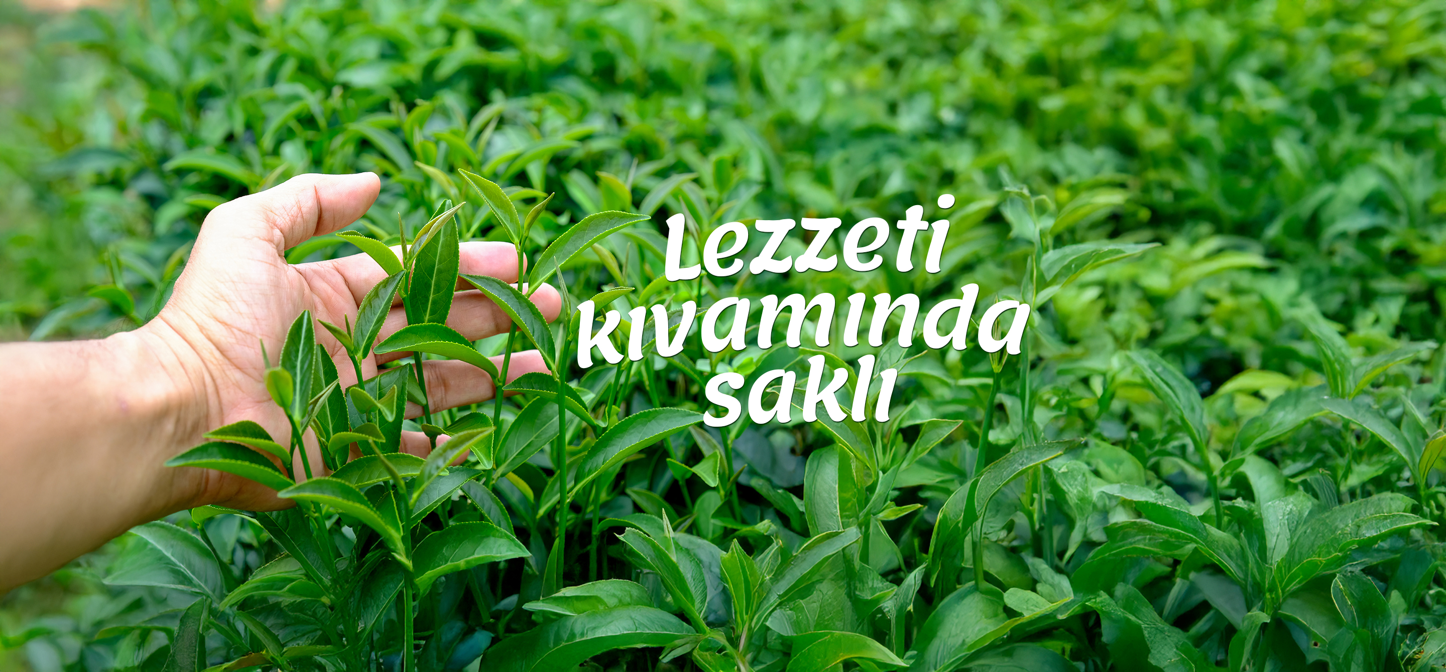 kıvam çay
